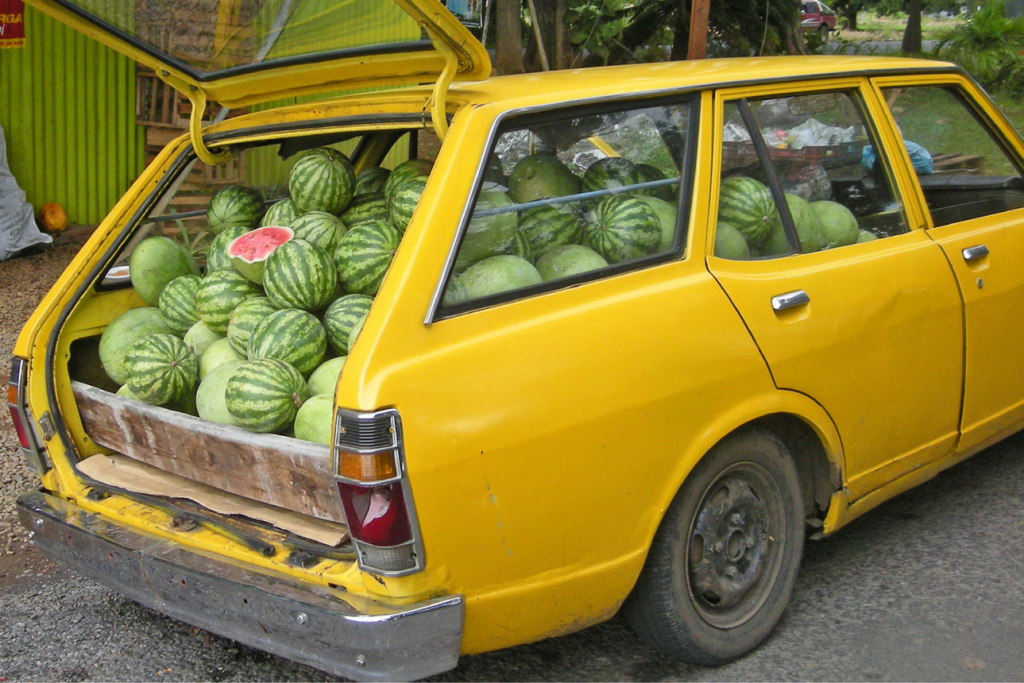 Melon Delivery - The Last Mile