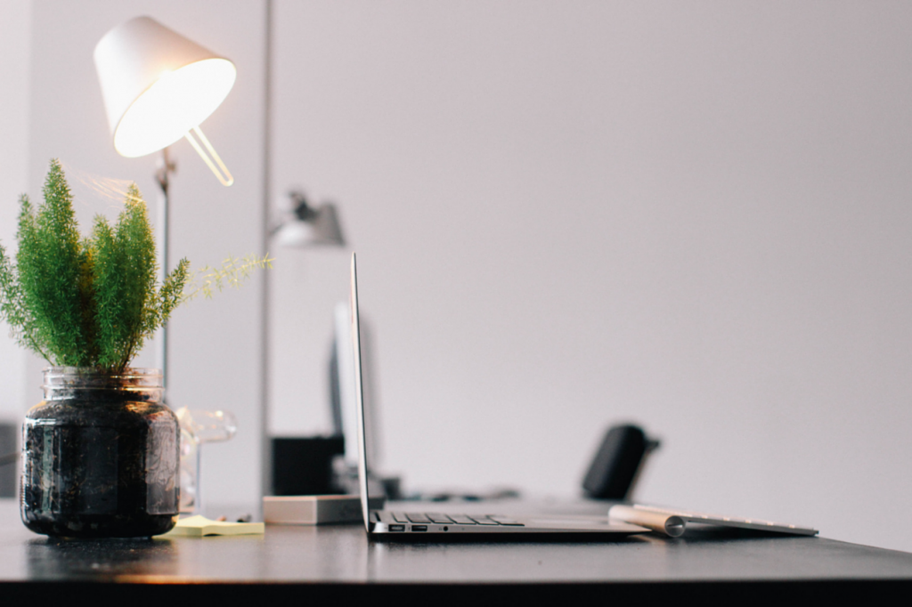 Desk, lamp, laptop and plant