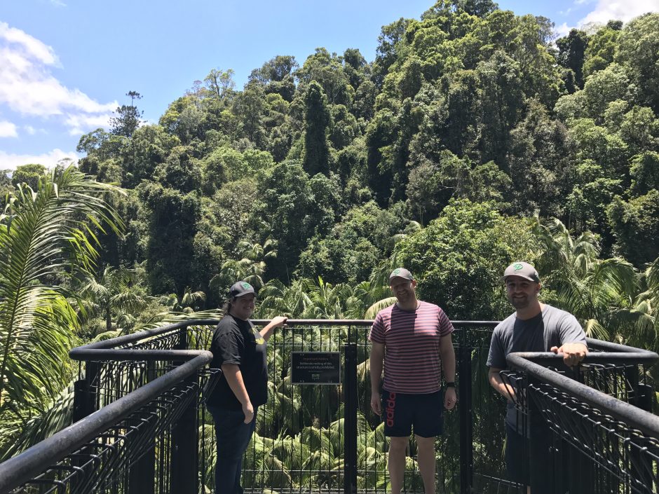 Rainforest Skywalk Prospress meetup