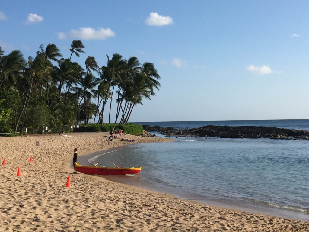 Beach in Hawaii at Prosparadise